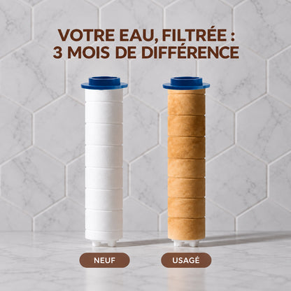 Transformez vos cheveux, votre peau et votre douche avec Zonirya™